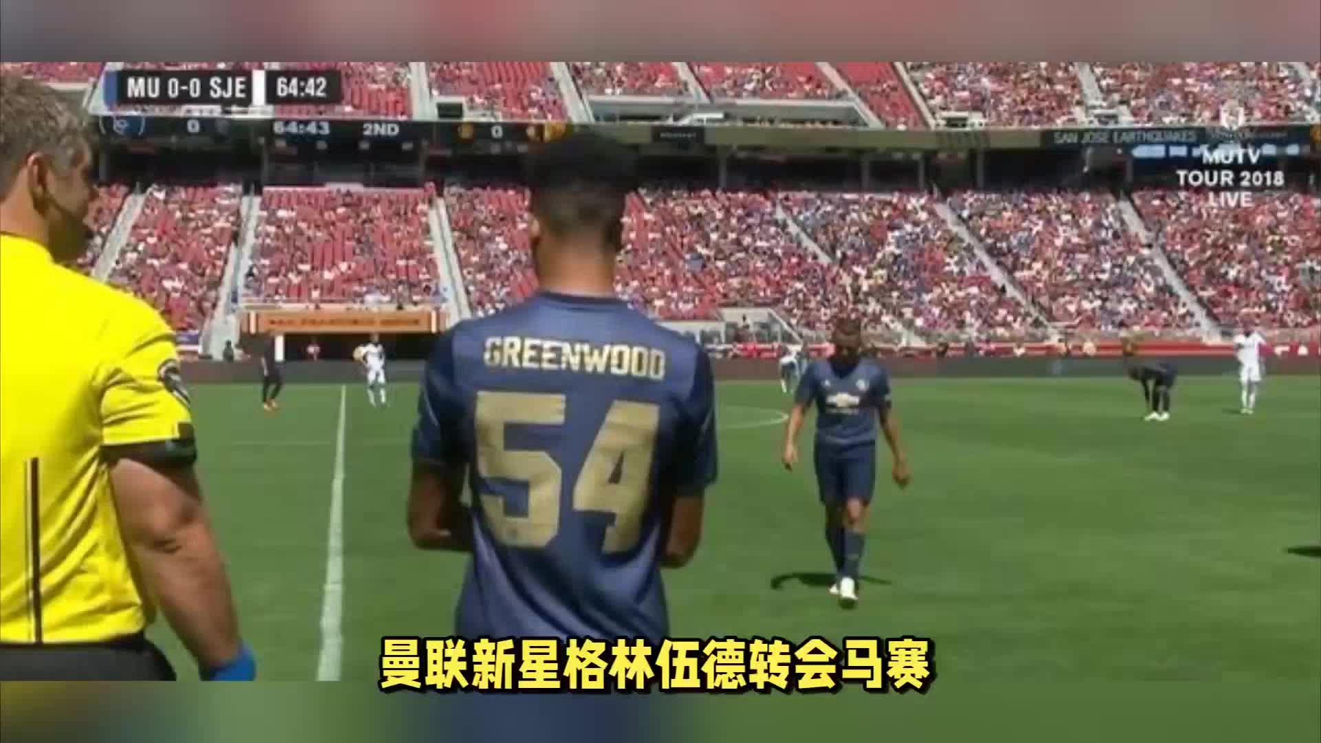验他调整能